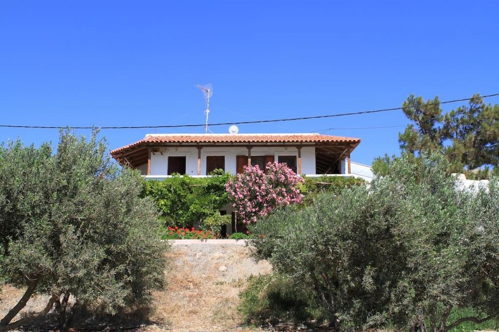 Traditional Olive House Makriyialos Bagian luar foto
