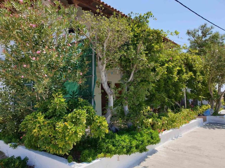 Traditional Olive House Makriyialos Bagian luar foto
